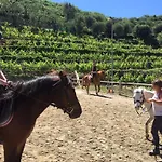 Il Villaggio Di Giuele 3* فينالي ليغوري