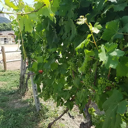 Ξενοδοχείο με διαμερίσματα Il Villaggio Di Giuele 3*